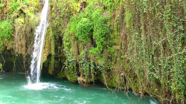 Cascada hermosa vista de la naturaleza — Vídeos de Stock