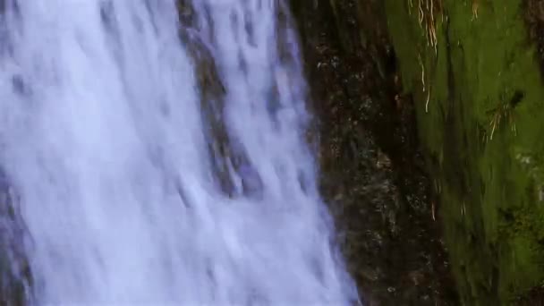 Водоспад красивою природою подання — стокове відео