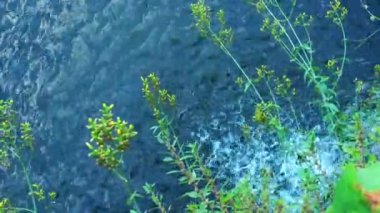 Şelale güzel doğa görünümü