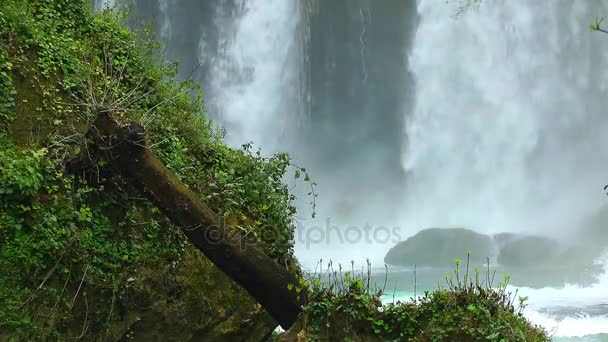 Cascada hermosa vista de la naturaleza — Vídeo de stock