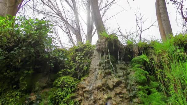 Wasserfall schöne Aussicht auf die Natur — Stockvideo