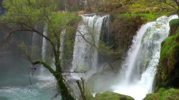 Wodospad natura piękny widok — Wideo stockowe