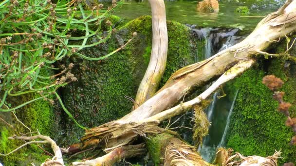 Wasserfall schöne Aussicht auf die Natur — Stockvideo