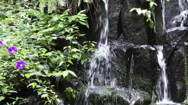 Wodospad natura piękny widok — Wideo stockowe