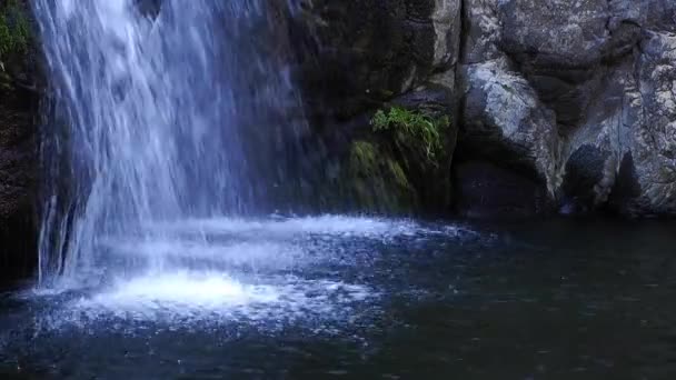 滝美しい自然の風景 — ストック動画