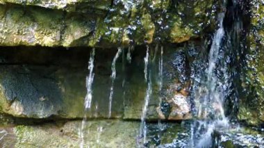 Şelale güzel doğa görünümü