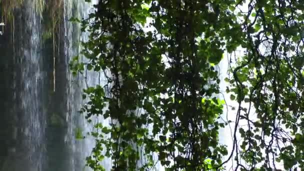 Vodopád pohled krásná příroda — Stock video