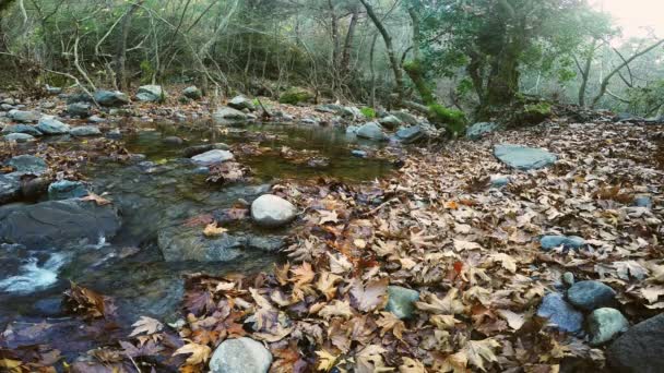 Wodospad natura piękny widok — Wideo stockowe