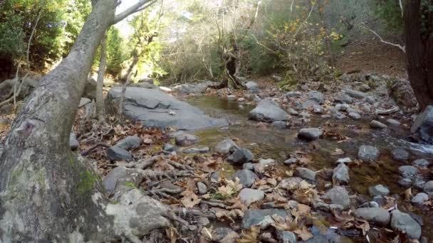 Wasserfall schöne Aussicht auf die Natur — Stockvideo