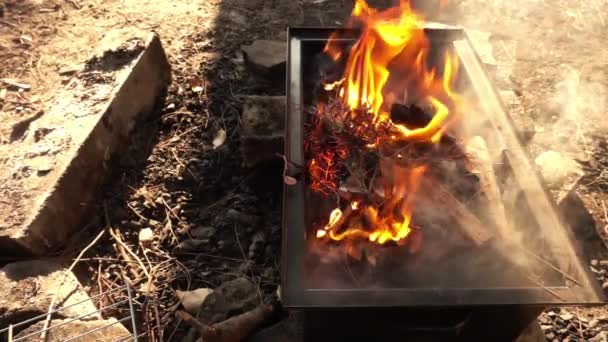 Wood and Coal Fire Burn — Stock Video