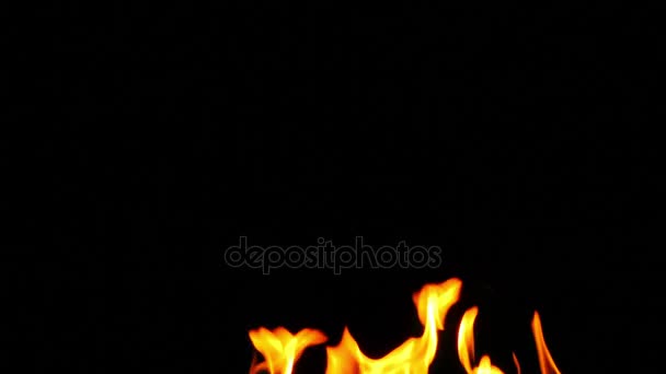 Ogień na czarny Backgorund — Wideo stockowe