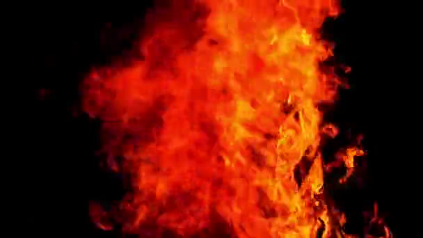 나무와 석탄 화재 화상 — 비디오