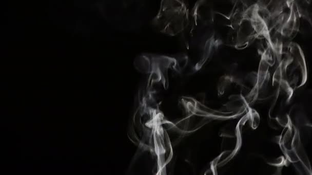 Abstract kleurrijk vloeibare rook Element turbulentie — Stockvideo