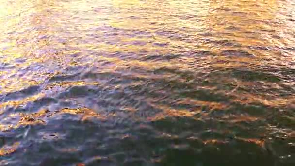 Havets vattenvågor och reflektion — Stockvideo