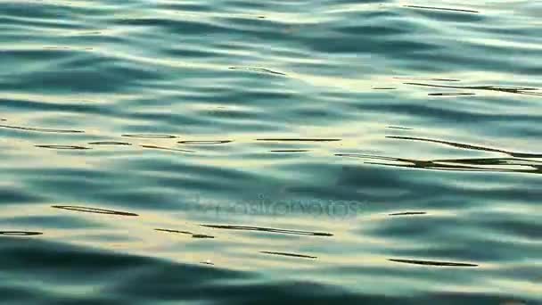 Su dalgalar deniz ve yansıma — Stok video
