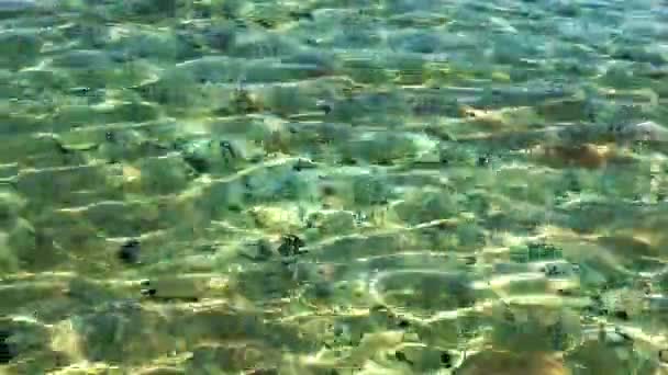 Onde di acqua di mare e riflessione — Video Stock