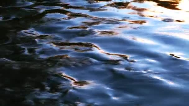 바다 물 파도 반사 — 비디오
