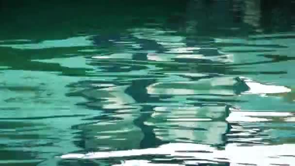 Zee Water golven en reflectie — Stockvideo