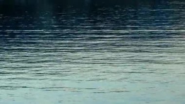 Su dalgalar deniz ve yansıma