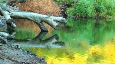 Yeşil Göl su yüzeyi doğada