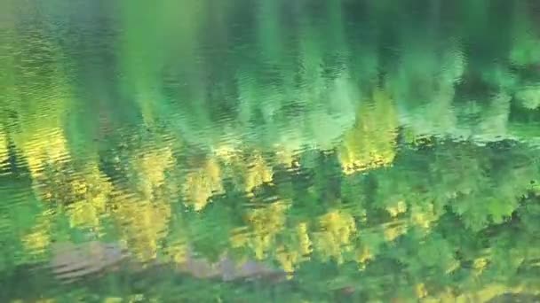 Green Lake Water Surface in Nature — Stock Video