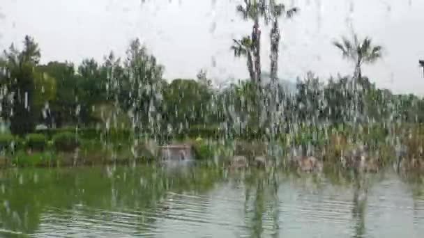 Lago Verde Superficie dell'acqua in Natura — Video Stock