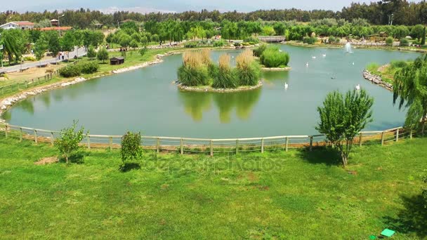 Vihreän järven veden pinta luonnossa — kuvapankkivideo