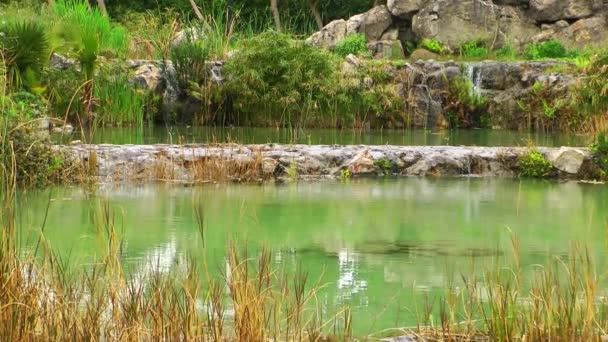 自然の中の緑湖水面 — ストック動画