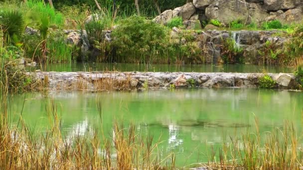 Superfície de água do lago verde na natureza — Vídeo de Stock