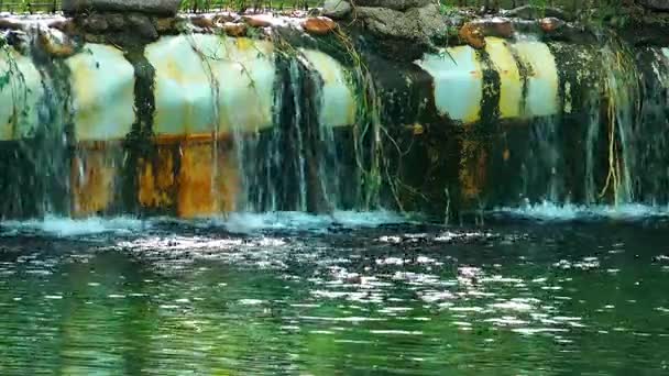 Zelené jezero vodní hladiny v přírodě — Stock video