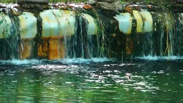 Groene meerwater oppervlak in de natuur — Stockvideo