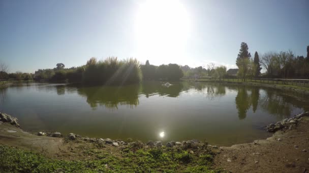 Lago Verde Superficie dell'acqua in Natura — Video Stock