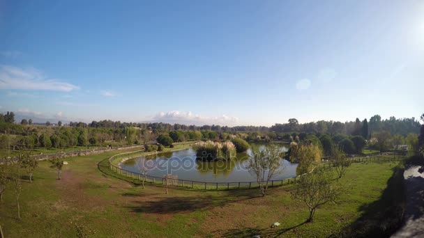 Superficie verde del agua del lago en la naturaleza — Vídeos de Stock