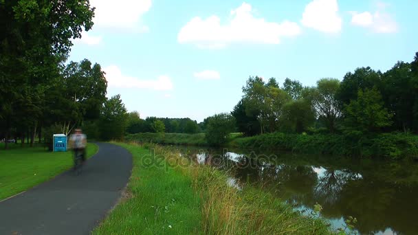 Groene meerwater oppervlak in de natuur — Stockvideo