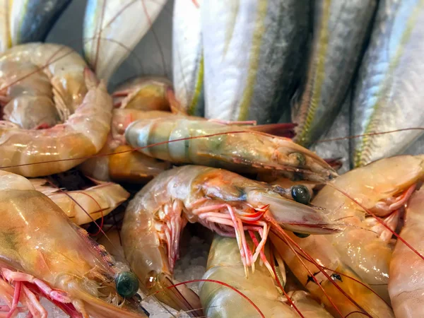 Peixes no gelo na loja — Fotografia de Stock