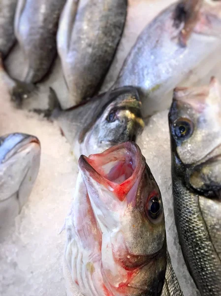 Vissen op het ijs in de winkel — Stockfoto