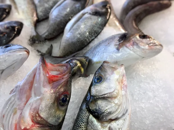 Peixes no gelo na loja — Fotografia de Stock