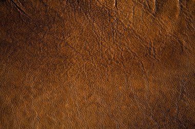 Grunge deri doku arka plan