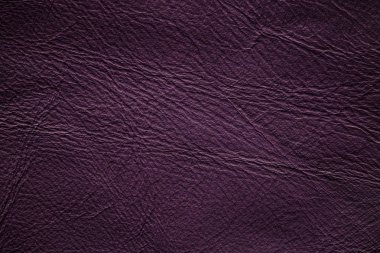 Grunge deri doku arka plan