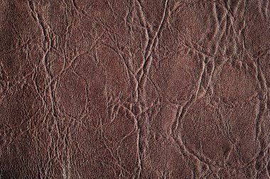 Grunge deri doku arka plan