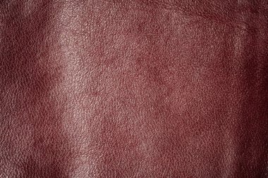 Grunge deri doku arka plan