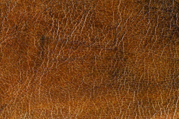 Grunge läder textur bakgrund — Stockfoto