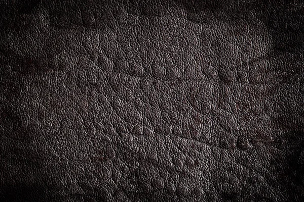 Grunge cuir texture arrière-plan — Photo