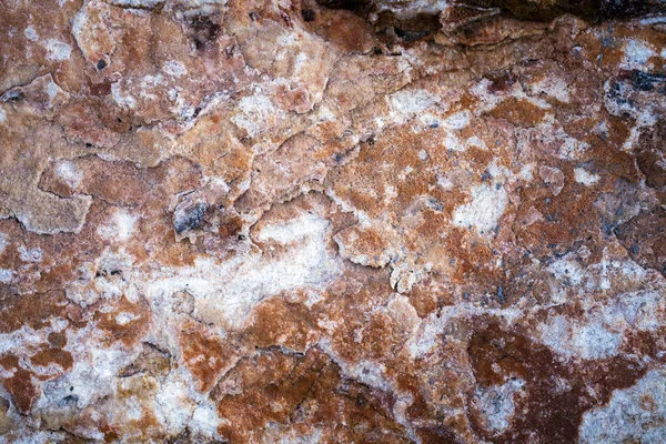 Tuzlu kayalar yüzey dokusunu arka plan