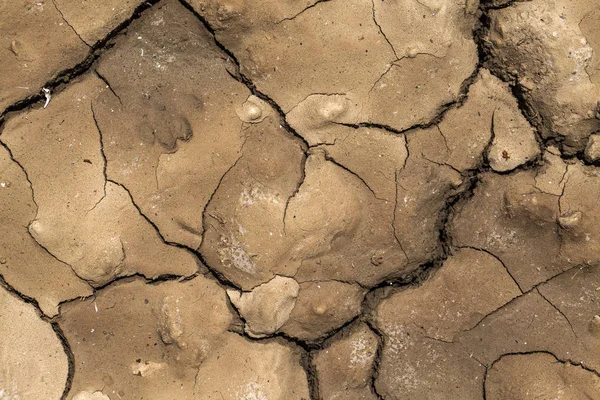 Textura de fondo de suelo agrietado — Foto de Stock