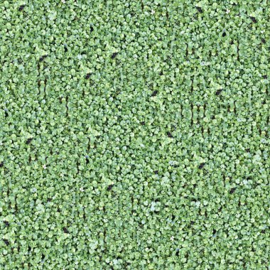 Sorunsuz Tileable doğal zemin alan doku