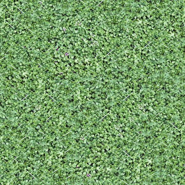 Seamless Tileable Natural Ground Field Texture — Stock Photo, Image