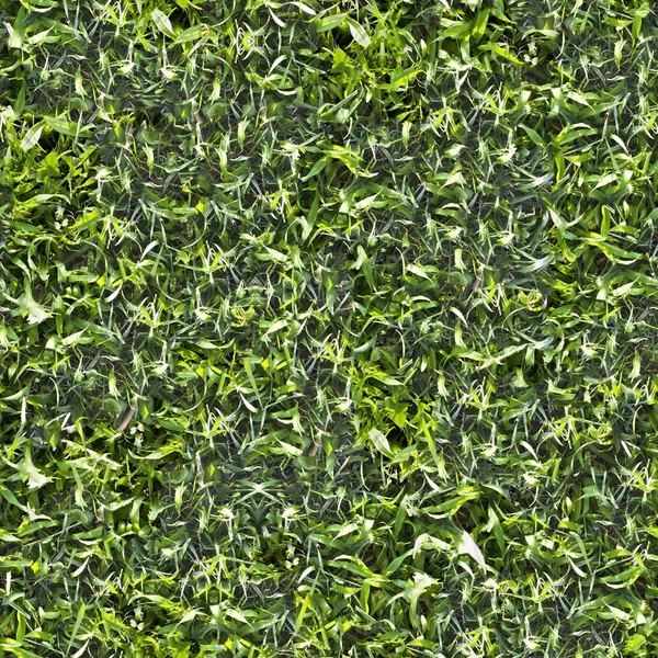 Seamless Tileable Natural Ground Field Texture — Stock Photo, Image