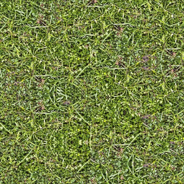 Seamless Tileable Natural Ground Field Texture — Stock Photo, Image