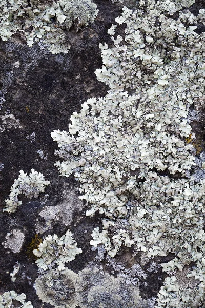 Soyut duvar arka plan doku